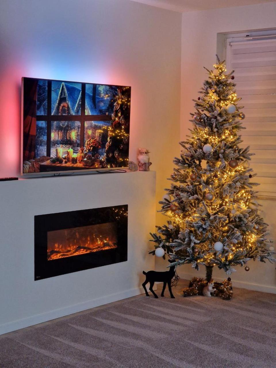 Comfortable Flat With Garden Leilighet *